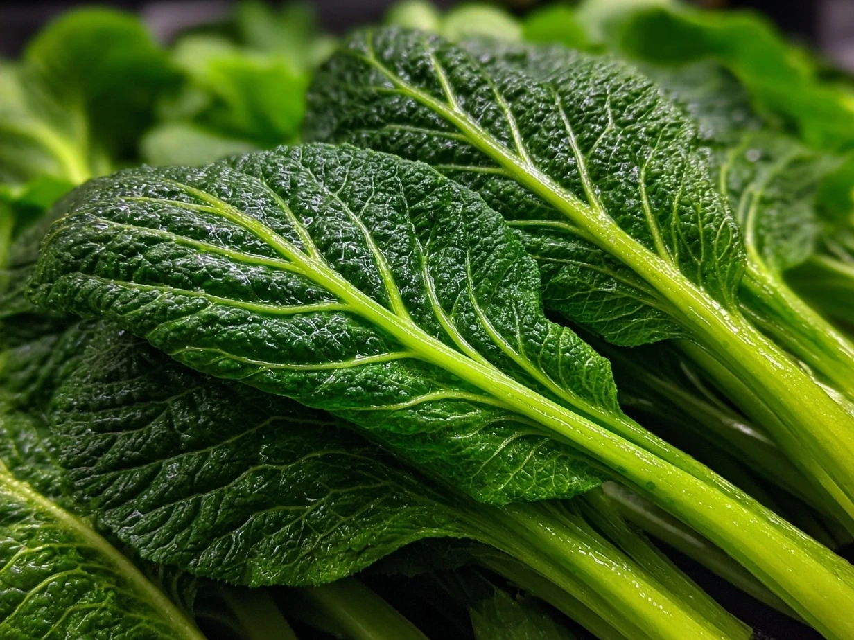 A bowl of Southern turnip greens showcasing tender greens with chunks of smoky ham